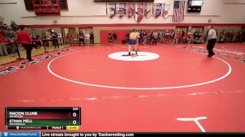 190 lbs Quarterfinal - Esmeralda Lares, Sunnyside vs Kiona Michel, Omak