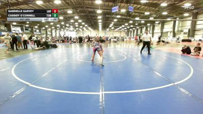 120 lbs Round Of 16 - Danika Castrejon, Lady Dragons - HSG vs Morgan Johnson, Team RJN Green - HSG