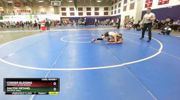 141 lbs Cons. Round 1 - Dalton Michael, Hastings (Neb.) vs Conner Blessing, University Of Rio Grande