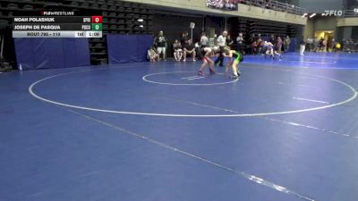 110 lbs Round Of 16 - Noah Polashuk, Spring Grove vs Joseph De Pasqua, Pocono Summit