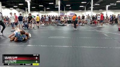 126 lbs Finals (2 Team) - Kam Palmer, Team 302 Gold vs Leland Cline, Front Royal WC