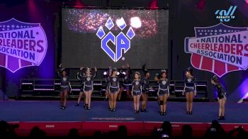 Cheer Athletics - Lethal Lions [2025 L3 Junior - Small - C Day 2] 2025 NCA All-Star National Championship