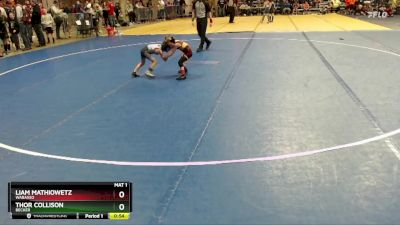 40 lbs Quarterfinal - Liam Mathiowetz, Wabasso vs Thor Collison, Becker