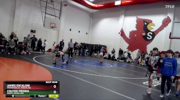 149 lbs Quarterfinal - James Escaloni, Woodford Co. Wrestling vs Colton Medina, North Vermillion