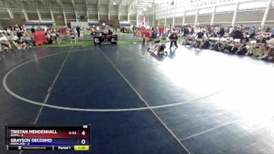 88 lbs Round 3 (8 Team) - Tristan Mendenhall, Idaho vs Grayson DeCosmo, Maryland