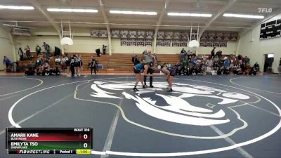 165 lbs Cons. Round 3 - Amarii Kane, Blue Ridge vs Emilyta Tso, Snowflake