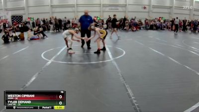 76 lbs Round 8 (10 Team) - Tyler Demand, Lake WC vs Weston Cipriani, SHWA