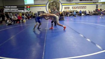 190 lbs Champ. Round 1 - Gabriel Nebergall, West Liberty vs Kellen Wegner, Dallas Center-Grimes