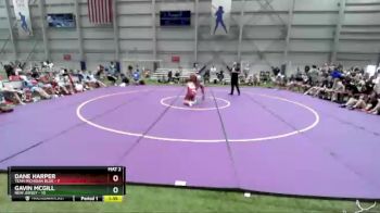 285 lbs Placement Matches (16 Team) - Dane Harper, Team Michigan Blue vs Gavin McGill, New Jersey