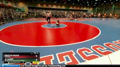 47-52 lbs Round 1 - Westyn Valice, USA GOLD vs Jp Sande, Silver State Wrestling Academy