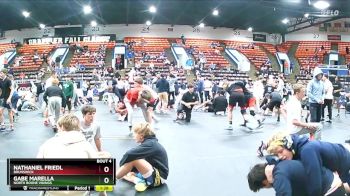 119 lbs Champ. Round 1 - Gabe Marella, North Boone Vikings vs Nathaniel Friedl, Brunswick