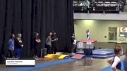 Sommer Wollman - Women's Group, TNT Gymnastics - 2021 Women's Xcel Region 4 Championships
