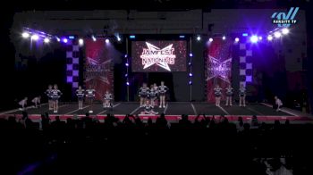 ICE - Blue Dynasty [2025 CheerABILITIES - Elite Day 2] 2025 JAMfest Cheer Super Nationals