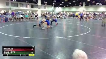 145 lbs Round 4 (16 Team) - Chase Hontz, PA Alliance vs Noah Hall, Michigan Blue