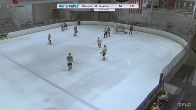 Replay: Home - 2024 Mites on Ice vs Brew Crew | Jun 4 @ 9 PM