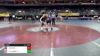 235 lbs Quarterfinal - David Smith, Liberty University vs Dominic Ledoux, Springfield Technical Community College