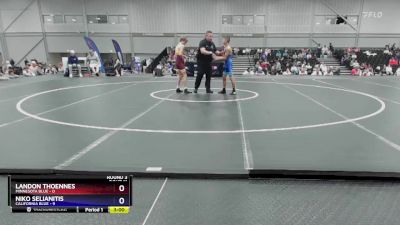 100 lbs Round 3 (8 Team) - Landon Thoennes, Minnesota Blue vs Niko Selianitis, California Blue