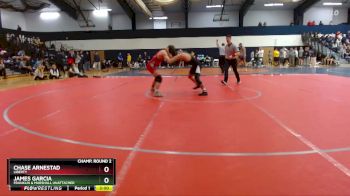 133 lbs Champ. Round 2 - James Garcia, Franklin & Marshall Unattached vs Chase Arnestad, Liberty