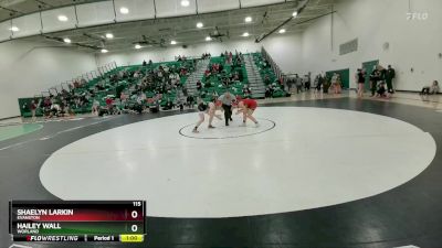 115 lbs Cons. Round 2 - Hailey Wall, Worland vs Shaelyn Larkin, Evanston