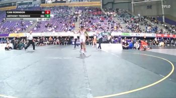 165 lbs Semis & 3rd Wb (16 Team) - Cam Robinson, Grand View (Iowa) vs Anthony Federico, Southeastern