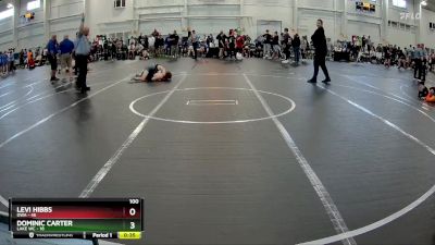 100 lbs Round 1 (10 Team) - Levi Hibbs, DWA vs Dominic Carter, Lake WC