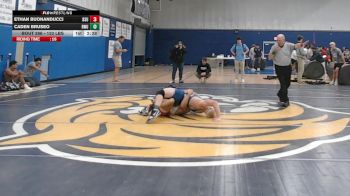 133 lbs 5th Place - Ethan Buonanducci, Bridgewater State vs Caden Bruseo, Roger Williams