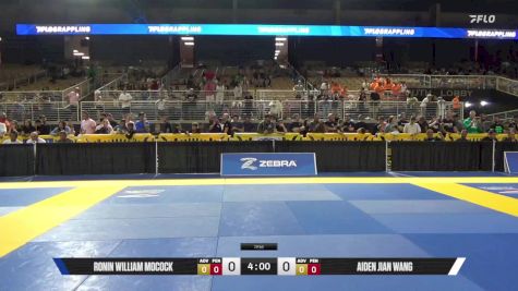 Aiden Jian Wang vs Ronin William Mocock 2025 Pan Kids Jiu-Jitsu IBJJF Championship