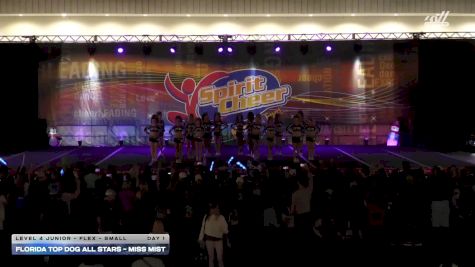 Florida Top Dog All Stars - Miss Mist [2025 L4 Junior - Flex - Small Day 1] 2025 Spirit Cheer Dance Grand Nationals & Cheer Nationals