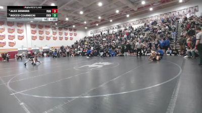 132 lbs Quarterfinal - Alex Denkins, Perrysburg vs Rocco Czarnecki, Cuyahoga Valley Christian Academy