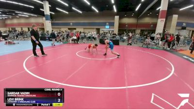 126 lbs Cons. Round 3 - Sardar Vadim, Warrior Trained Wrestling vs Levi Brink, Category 5 Wrestling Club