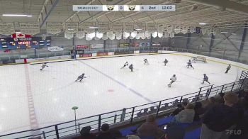 Replay: Home - 2025 CRAA White U15 vs CRAA Gold U15 | Mar 8 @ 12 PM