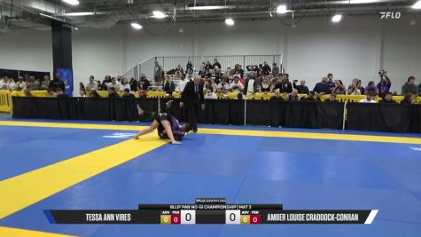 Amber Louise Craddock-Conran vs Tessa Ann Vires 2026 Pan IBJJF Jiu-Jitsu No-Gi Championship