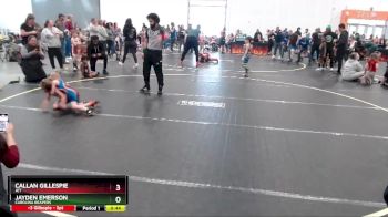 45 lbs Quarterfinal - Jayden Emerson, Carolina Reapers vs Callan Gillespie, JET