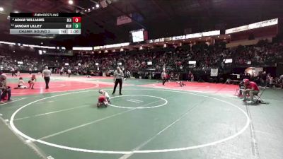 45 lbs Champ. Round 2 - JaNoah Lilley, MLW2 vs Adam Williams, BEA2