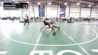 182 lbs Round Of 32 - Cameron Carter, MO vs Gavin Mcconnell, NH