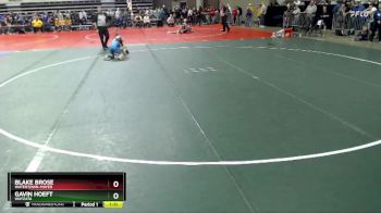 95 lbs Cons. Round 2 - Blake Brose, Watertown-Mayer vs Gavin Hoeft, Wayzata