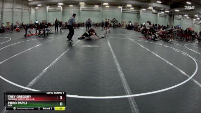 150 lbs Cons. Round 1 - Trey Gregory, Teknique Wrestling Club vs Piero Papili, DMA