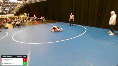 Boys 3rd-4th Grade - 77 Champ. Round 2 - Beau Brandow, Team Valley Wrestling Club vs Hunter Septer, Moyer Elite Wrestling