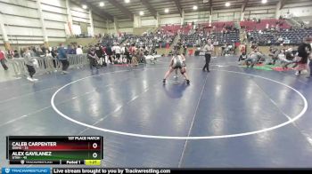 220 lbs Finals (2 Team) - Caleb Carpenter, Idaho vs Alex Gavilanez, Utah