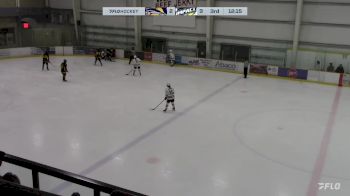 Replay: Home - 2024 STA Sharks vs Impact | Jan 27 @ 5 PM