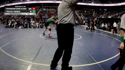 165 lbs Quarterfinal - Felicity Hereim, West Stanly vs Evangeline (Evie) Alasin, Northeastern