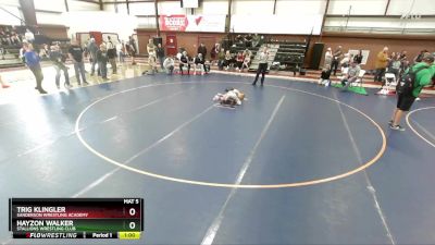 65 lbs Quarterfinal - Trig Klingler, Sanderson Wrestling Academy vs Hayzon Walker, Stallions Wrestling Club