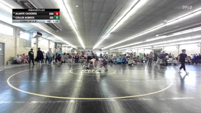 171 lbs Consi Of 8 #1 - Alante Caceres, Harrisburg vs Collin Aumick, Addison