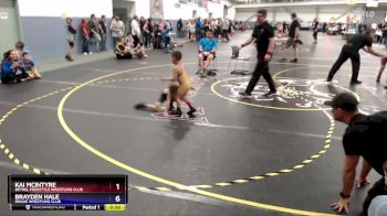 45 lbs Cons. Semi - Kai McIntyre, Bethel Freestyle Wrestling Club vs Brayden Hale, Rogue Wrestling Club