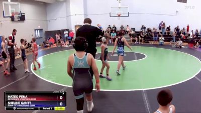 84 lbs Round 2 - Shelbie Gantt, Soda City Wrestling Club vs Mateo Pena, Reverence Wrestling Club