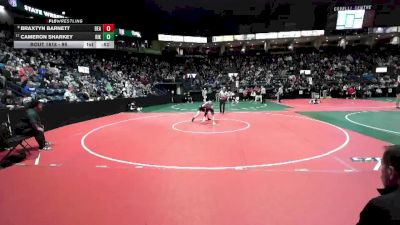 95 lbs Cons. Round 3 - Braxtyn Barnett, BEASTA vs Cameron Sharkey, RIKA