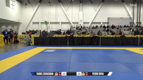 PEDRO VIERA vs HANIEL SCHUCMAN 2024 World IBJJF Jiu-Jitsu No-Gi Championship