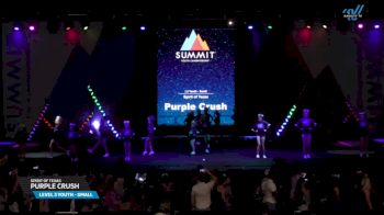 Spirit of Texas - Purple Crush [2025 L3 Youth - Small Day 1] 2025 The Youth Summit