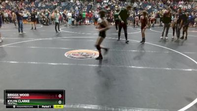 90 lbs Cons. Semi - Briggs Wood, C2X Academy vs Kylyn Clarke, Tech Fall