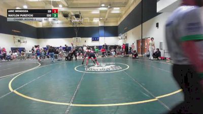 122 lbs Champ. Round 2 - Waylon Purzycki, El Dorado High School vs Aric Mendoza, Braveheart WC